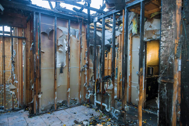 Professional Fire Damage Removal technician working in Higginsville, MO